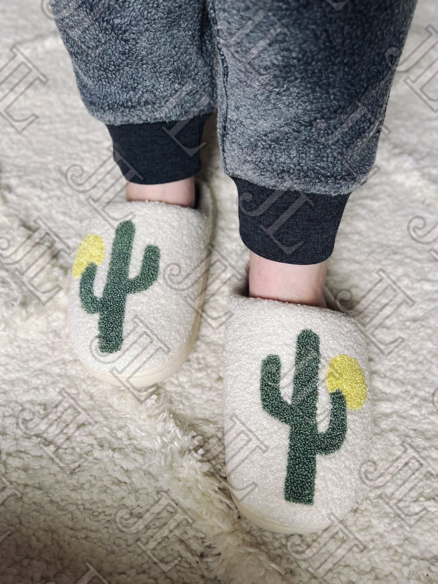 Cactus Slippers